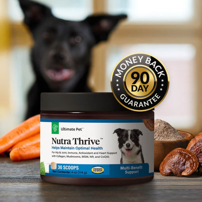 Nutra Thrive™