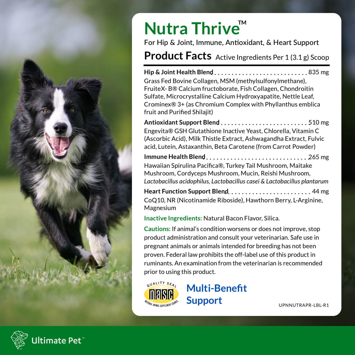 Nutra Thrive™
