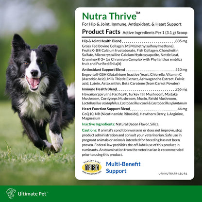 Nutra Thrive™